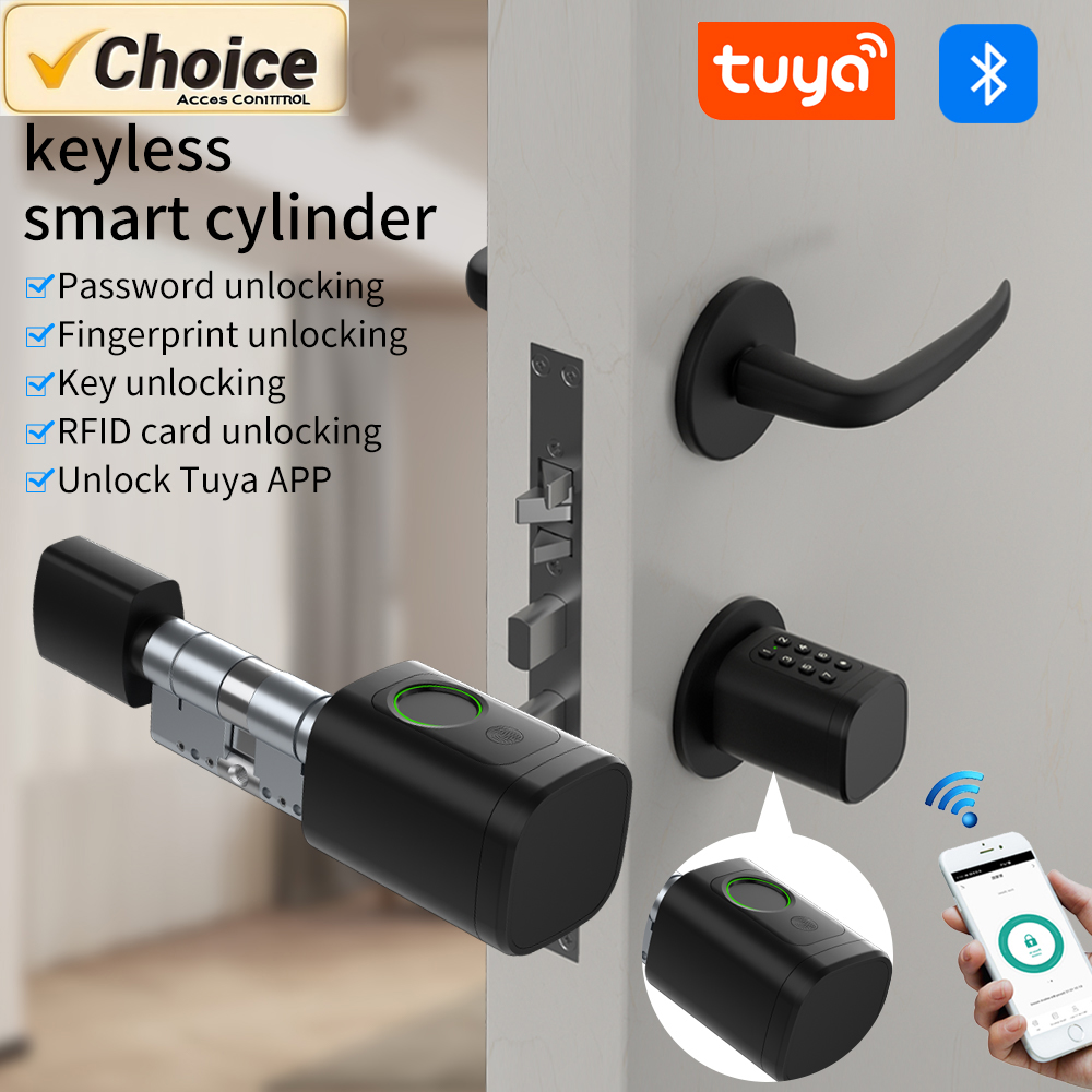 Tuya Smart Mortise Lock IP65 B - Home Security Options 리뷰 및 가격