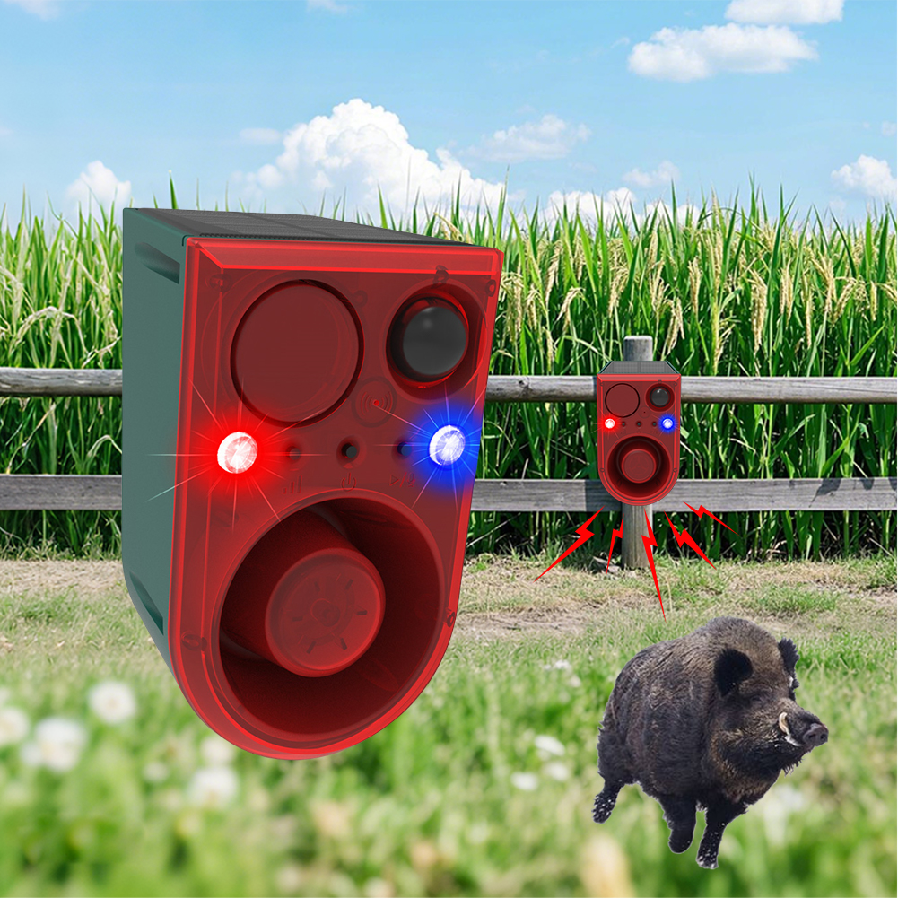 Solar Motion Sensor Alarm with - Home Security Yard Sensors 리뷰 및 가격