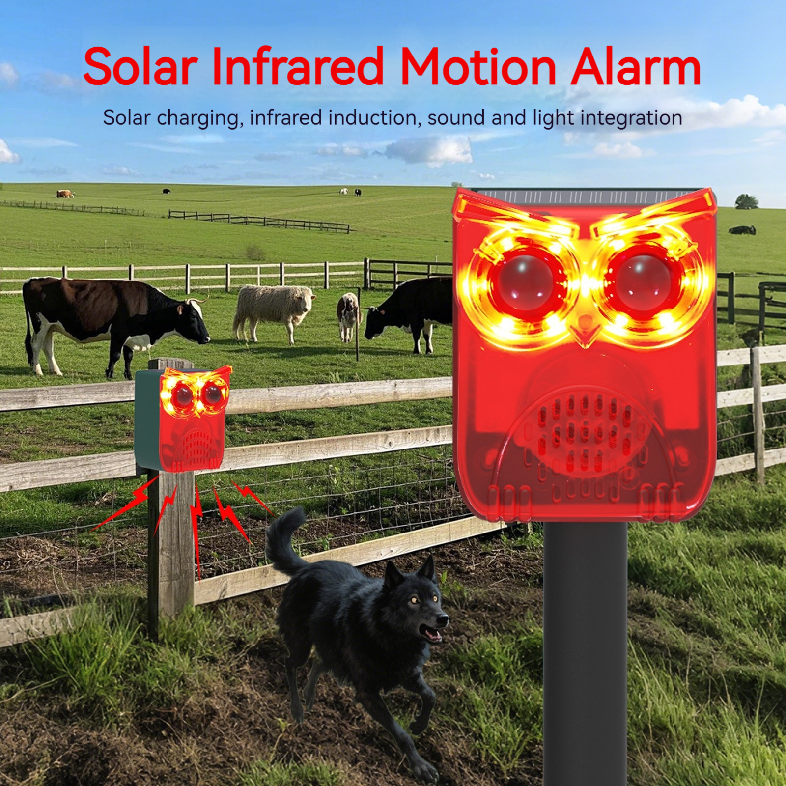 Solar Motion Sensor Alarm Dog  - Home Security Yard Sensors 리뷰 및 가격