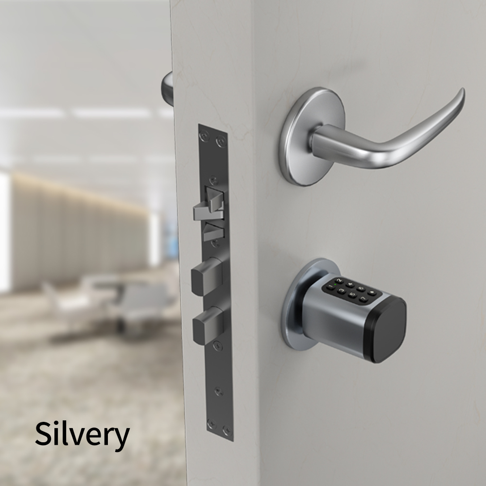 Tuya Smart Mortise Lock IP65 B - Home Security Options 리뷰 및 가격