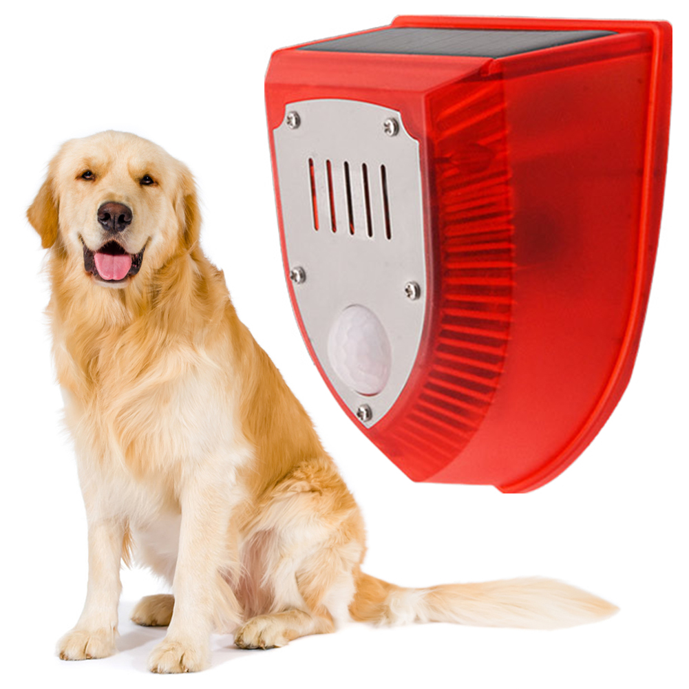 Solar Security Alarm Lights wi - Home Security Yard Sensors 리뷰 및 가격