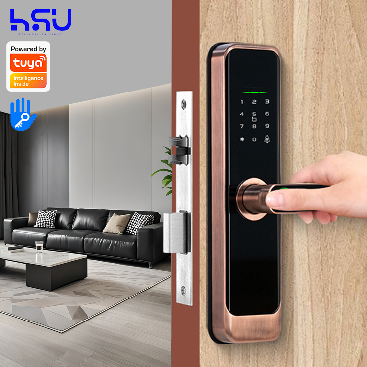 Digital Smart Doorlock Passcod - Home Security Locks 리뷰 및 가격