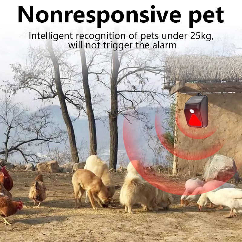 Waterproof Solar Powered Alarm - Home Security Yard Sensors 리뷰 및 가격