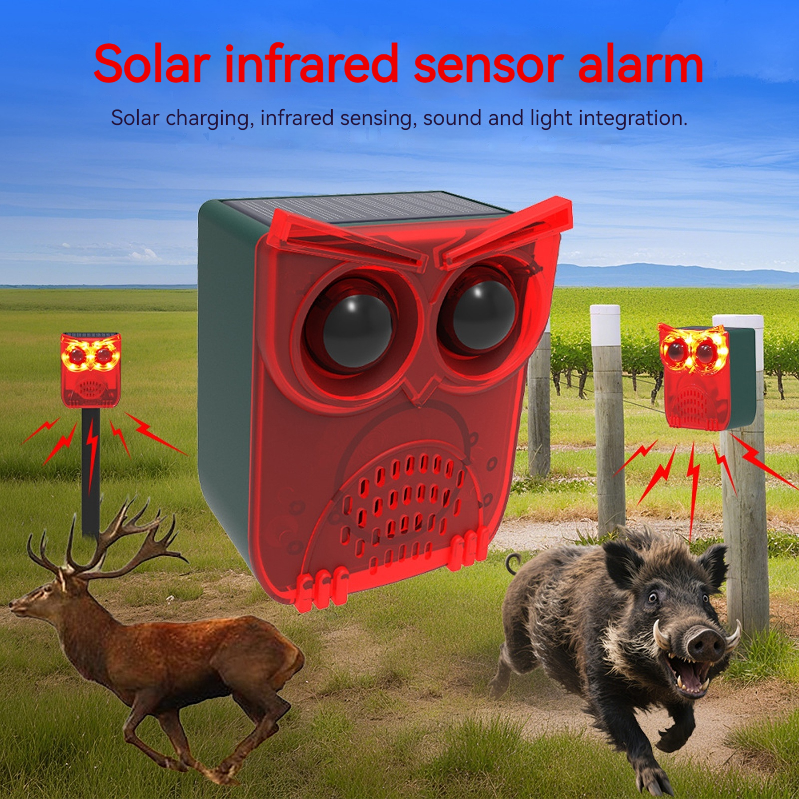 Solar Outdoor Motion Sensor Al - Home Security Yard Sensors 리뷰 및 가격