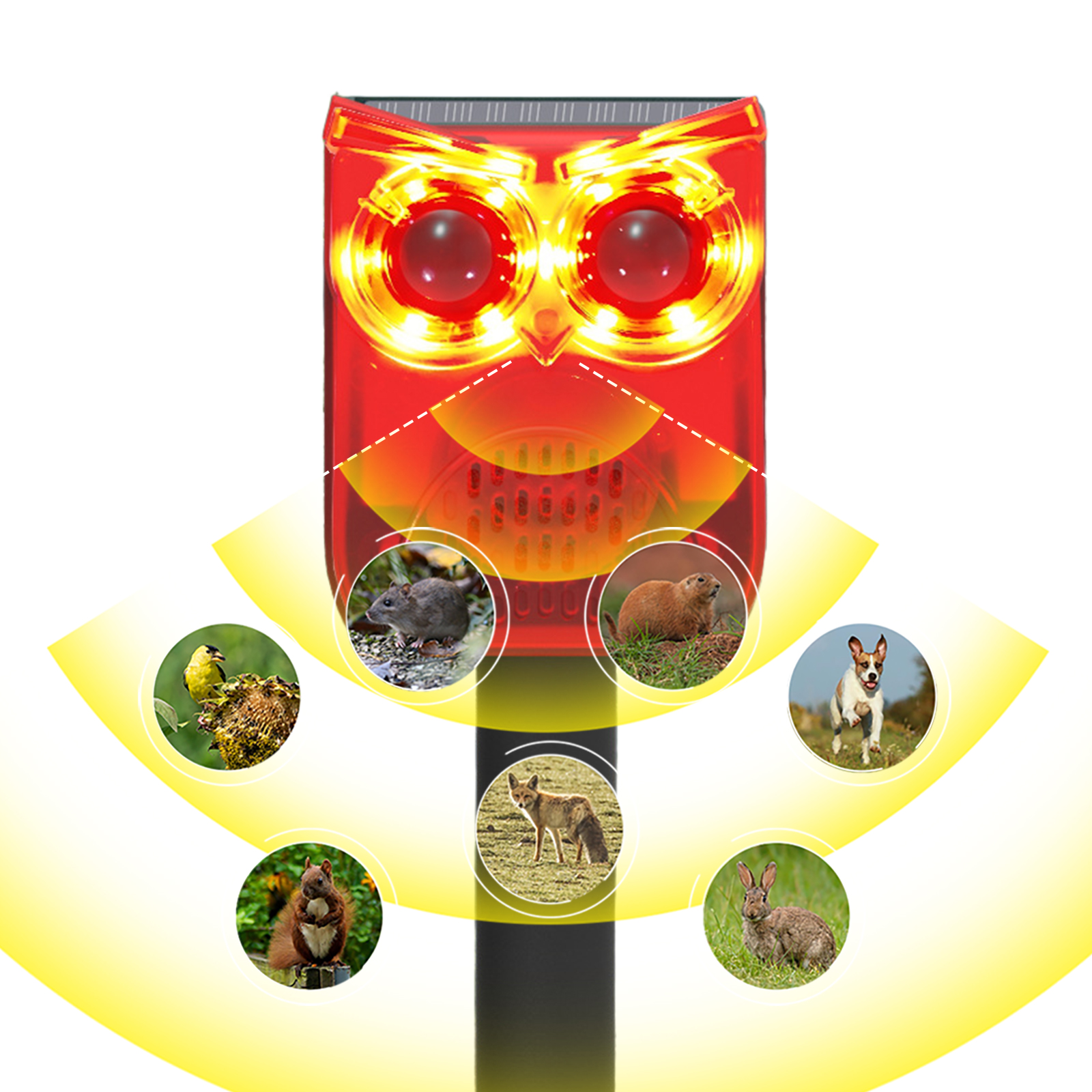 Solar Outdoor Motion Sensor Al - Home Security Yard Sensors 리뷰 및 가격