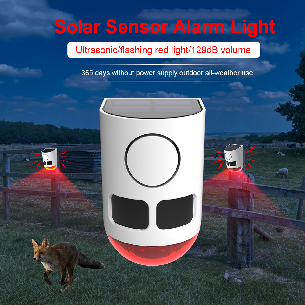 Solar Outdoor Motion Sensor Al - Home Security Yard Sensors 리뷰 및 가격