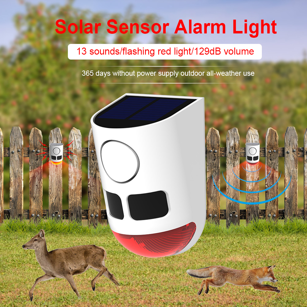 Solar Outdoor Motion Sensor Al - Home Security Yard Sensors 리뷰 및 가격